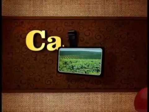 TV Alterosa - Café com TV